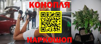 ALPHA PVP Будённовск