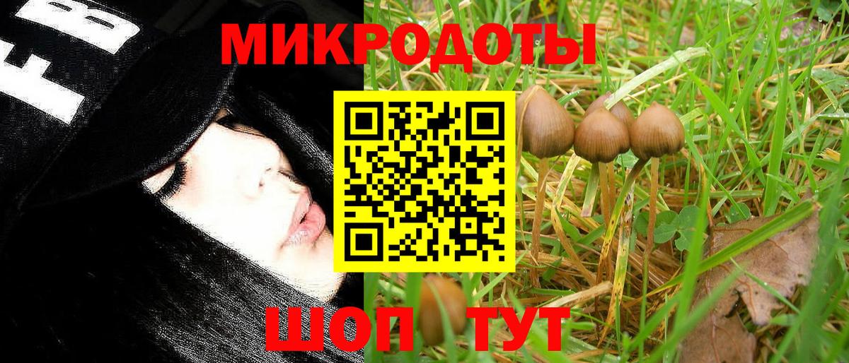 Галлюциногенные грибы Psilocybine cubensis Богданович